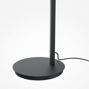 Торшер Maytoni Emphaty MOD363FL-L14B3K в Покачах - pokachi.mebel24.online | фото 5