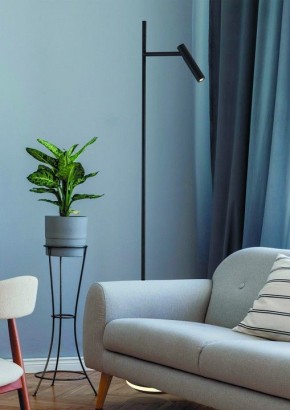 Торшер Maytoni Estudo Z010FL-L8B3K в Покачах - pokachi.mebel24.online | фото 3