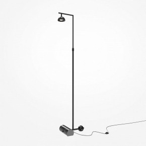 Торшер Maytoni Pikant MOD372FL-L10B3K в Покачах - pokachi.mebel24.online | фото 2
