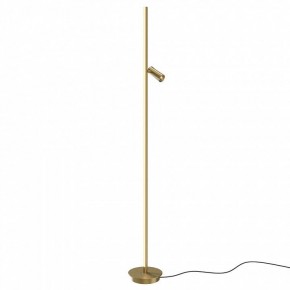 Торшер Maytoni Thin MOD395FL-L28BS3K в Покачах - pokachi.mebel24.online | фото