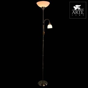 Торшер с подсветкой Arte Lamp Duetto A9569PN-2AB в Покачах - pokachi.mebel24.online | фото 3