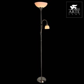 Торшер с подсветкой Arte Lamp Duetto A9569PN-2SS в Покачах - pokachi.mebel24.online | фото 3