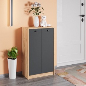 Тумба для обуви Рино в Покачах - pokachi.mebel24.online | фото 3