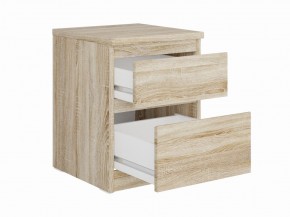 Тумба КАСТОР малая с двумя ящиками, цвет Дуб Сонома в Покачах - pokachi.mebel24.online | фото 2