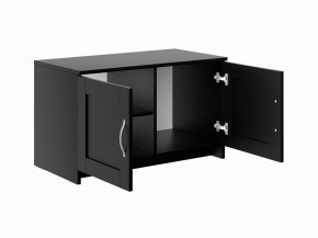 Тумба СИРИУС двухдверная низкая, цвет Дуб Венге в Покачах - pokachi.mebel24.online | фото 3