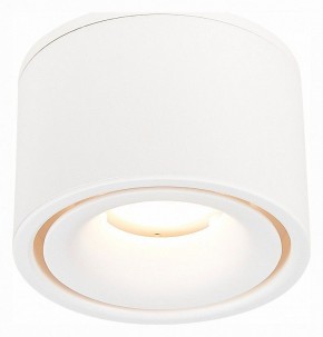 Встраиваемый светильник на штанге ST-Luce ST652 ST652.548.12 в Покачах - pokachi.mebel24.online | фото 3
